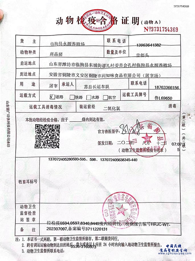 图片2.png
