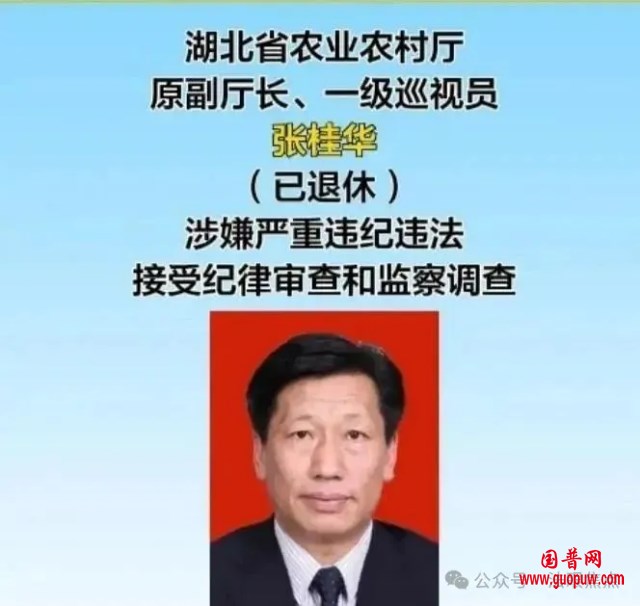 微信图片_20250615123453_副本.png