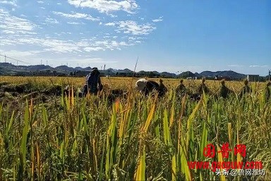 微信图片_20250830151826.jpg 微信图片_20250830151826.jpg