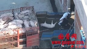 微信图片_20251124092718_581_1.png 微信图片_20251124092718_581_1.png