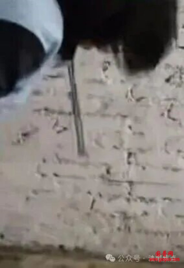 640 (1)_副本.jpg 640 (1)_副本.jpg