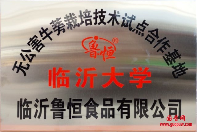 1p1gaixgltgiep4317799596396034906.png